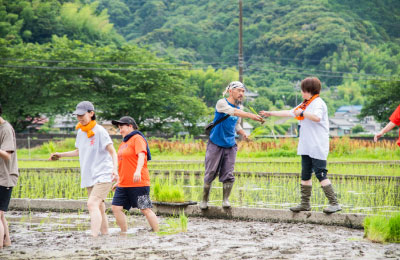 田んぼ体験
